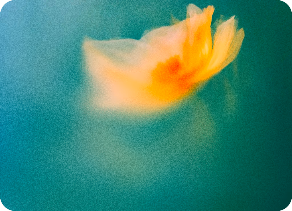 Personalized Outreach